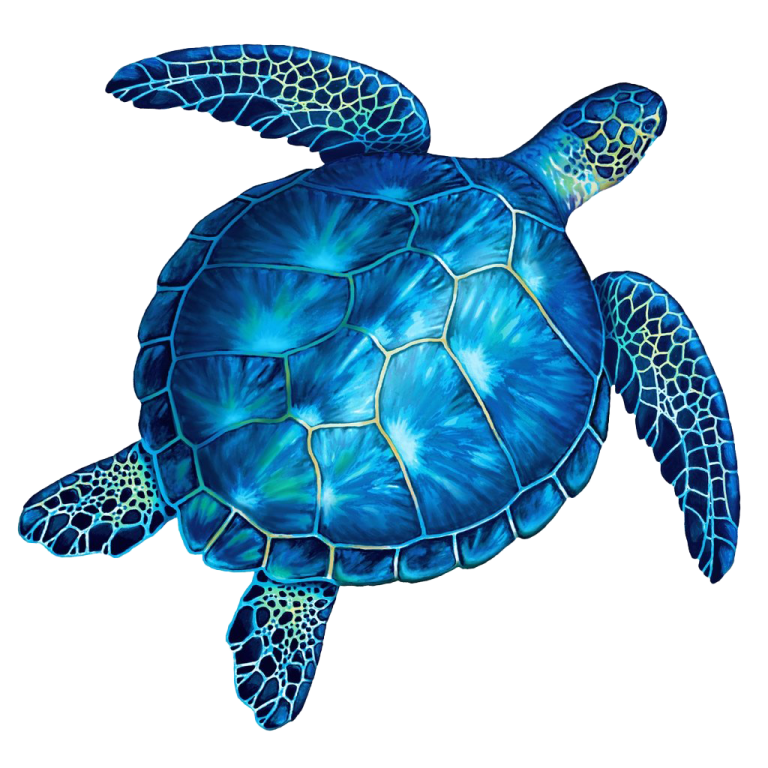 a sea turtle painted in blue and green
