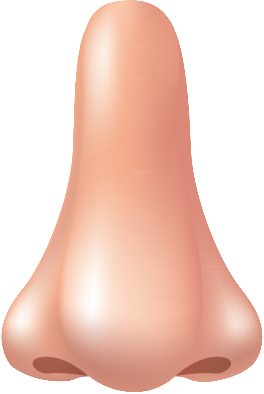 an illustration of a bell