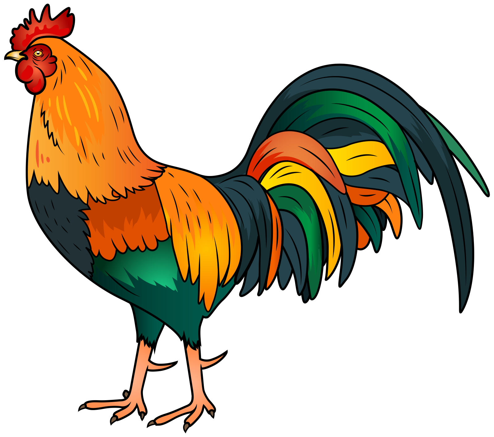 a colorful rooster standing on its hinds