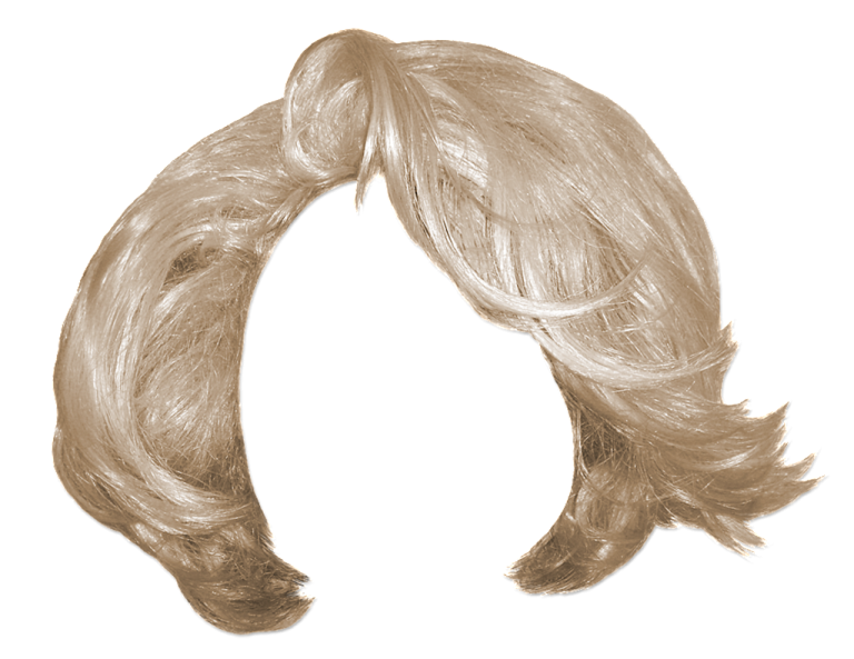 a drawing of a woman's hair