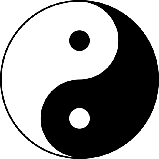 a black and white yin symbol