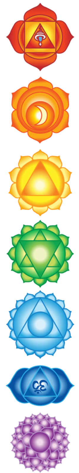 a set of seven chakras on a white background
