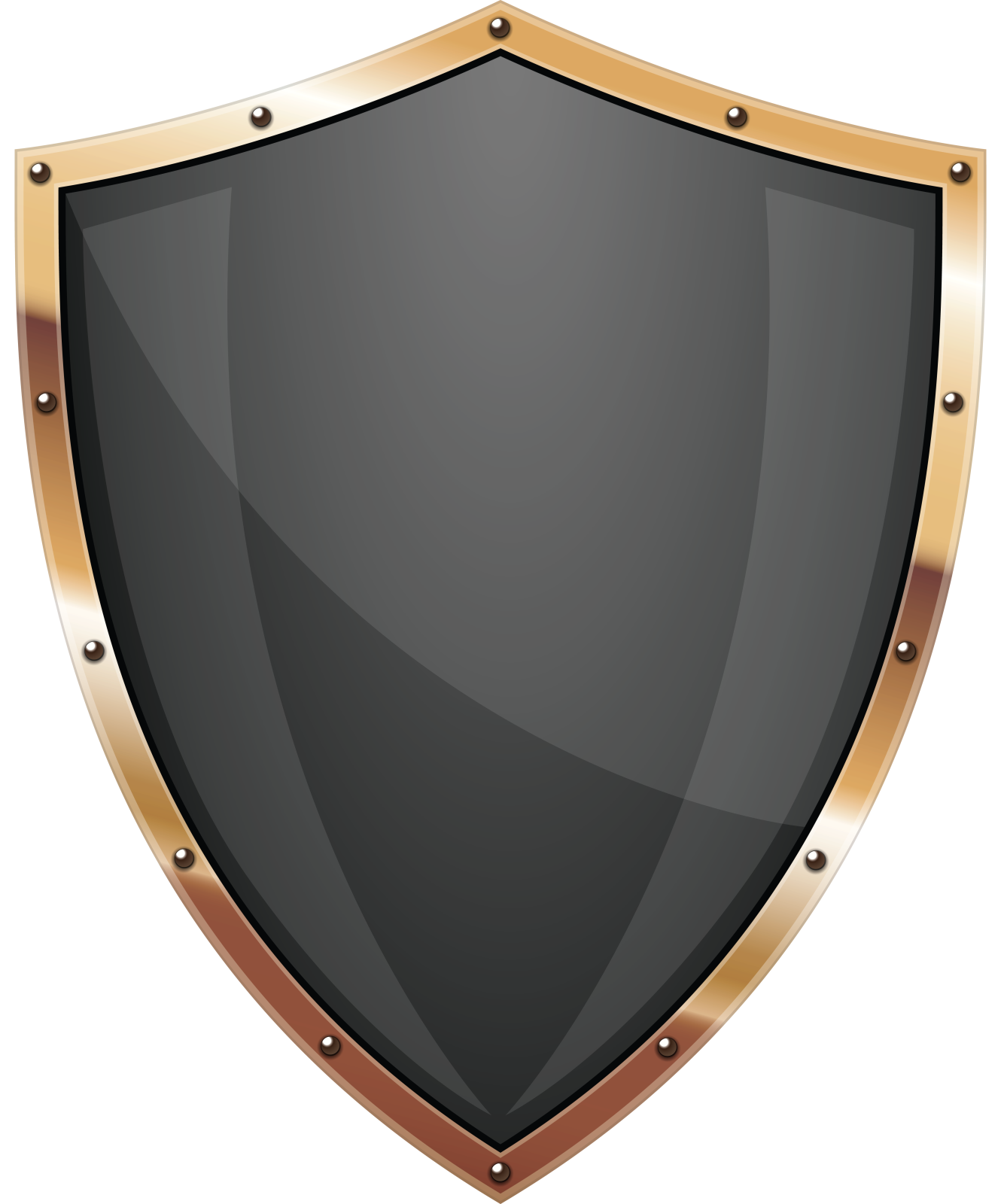 a black shield with gold accents on a white background
