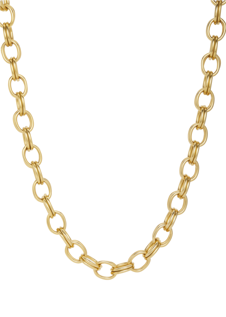 a gold link necklace