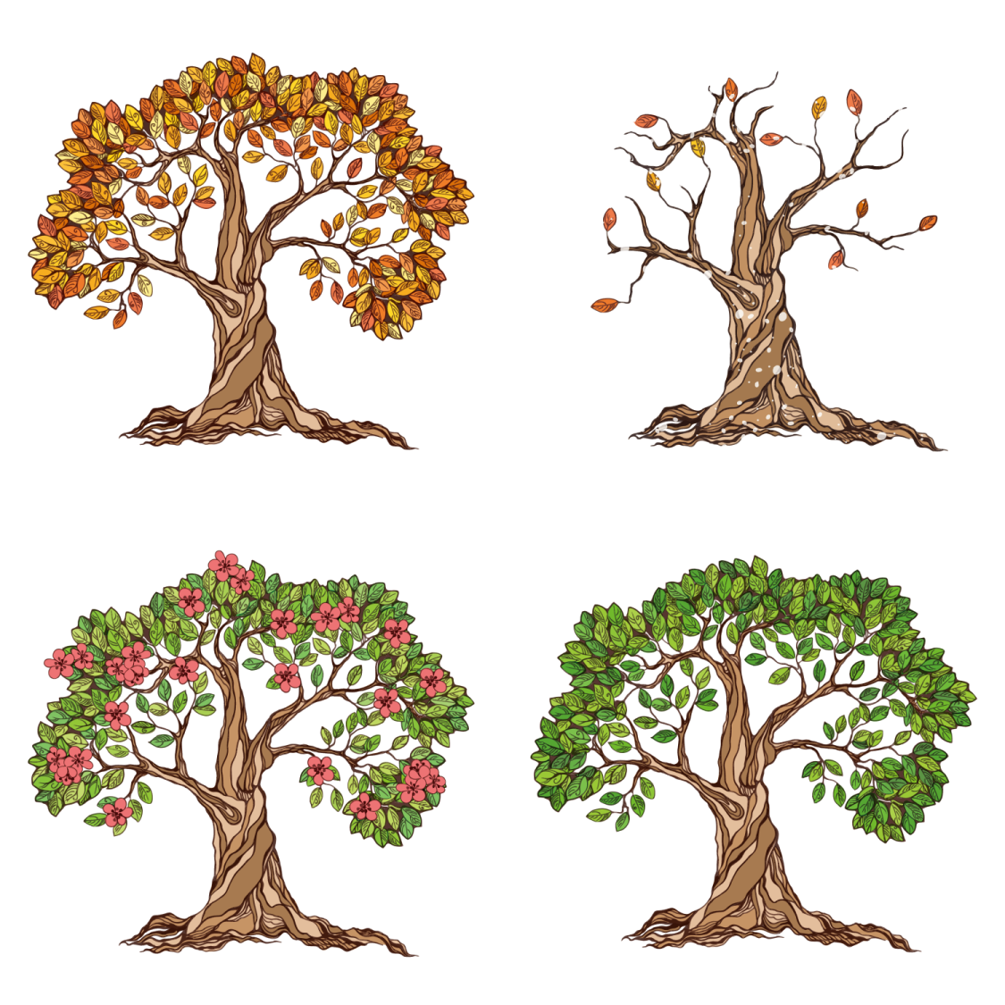 four trees with leaves and flowers