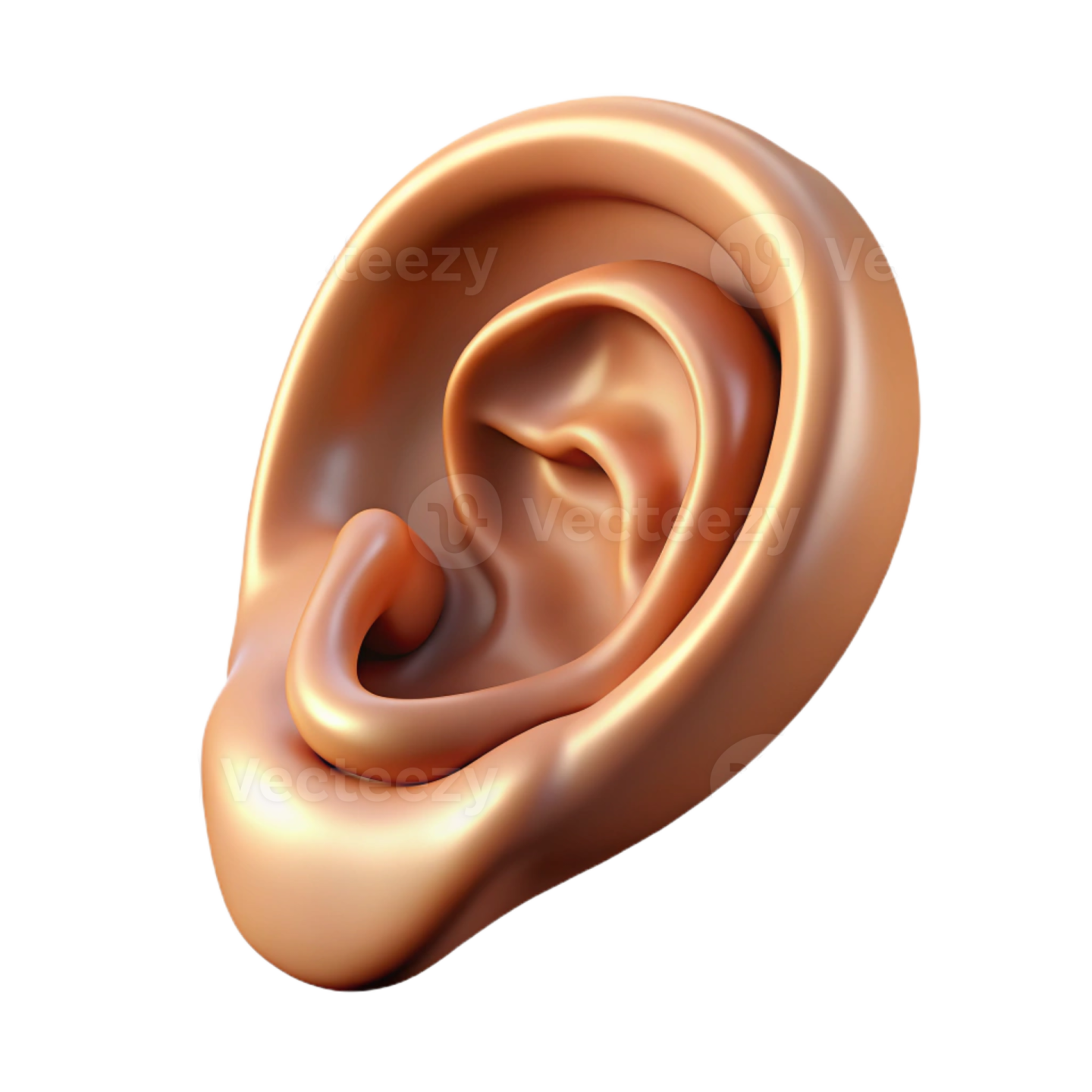 a close up view of the inside of an ear