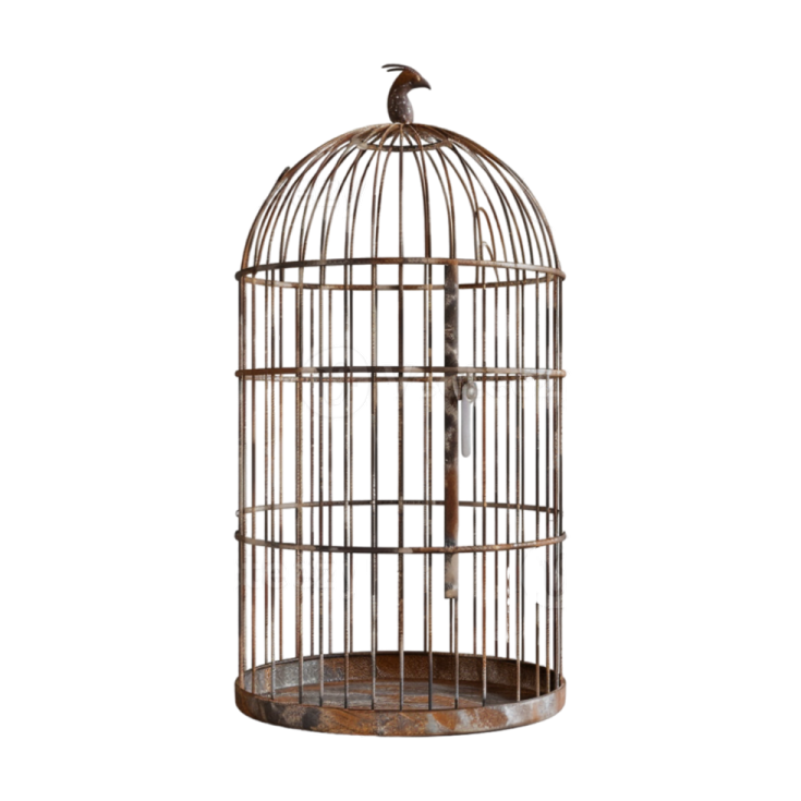 an old bird cage on a white background