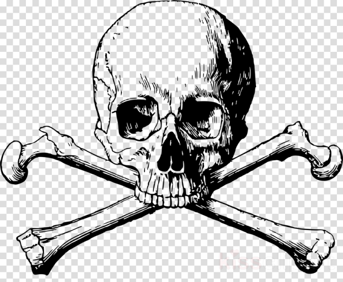 a skull and crossbones on a transparent background
