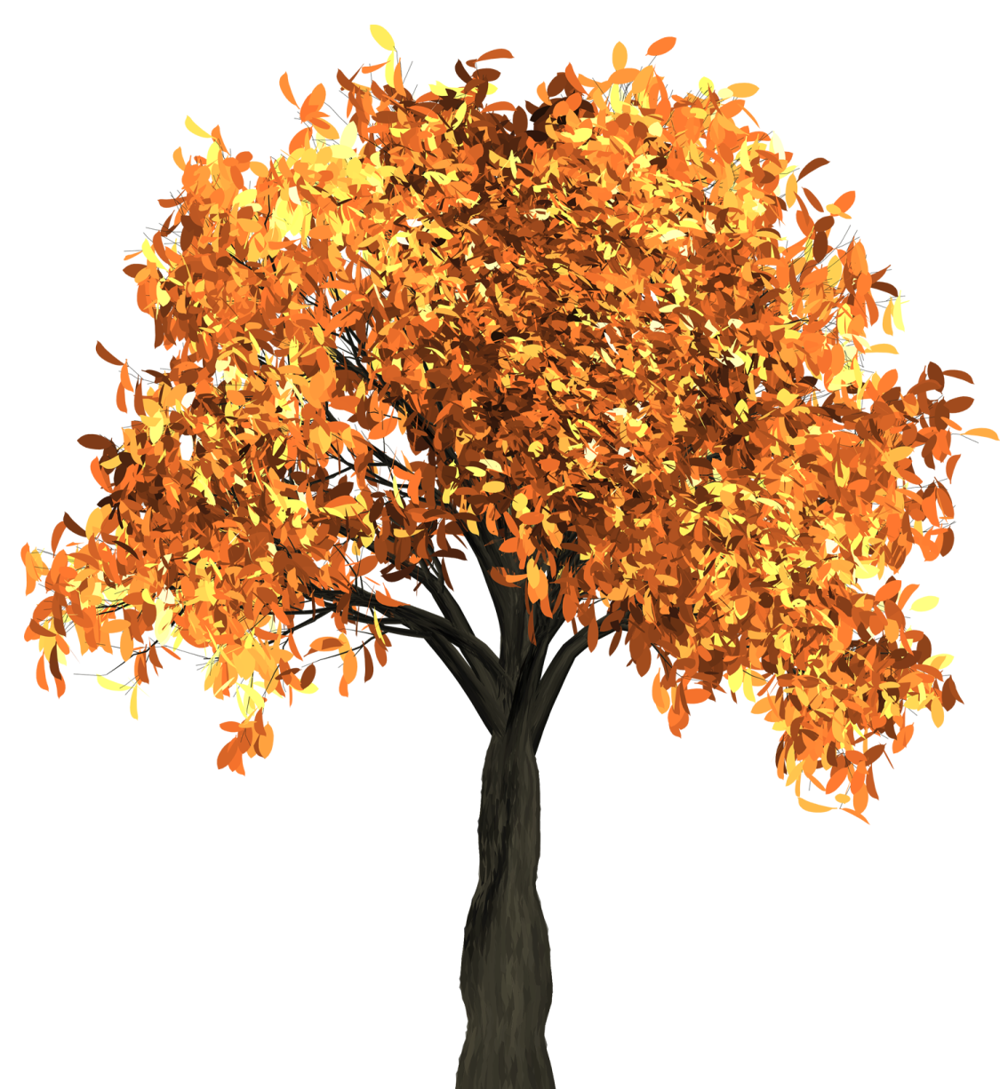 a tree with orange leaves on it