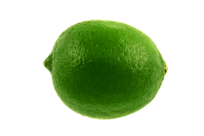 a lime on a white background