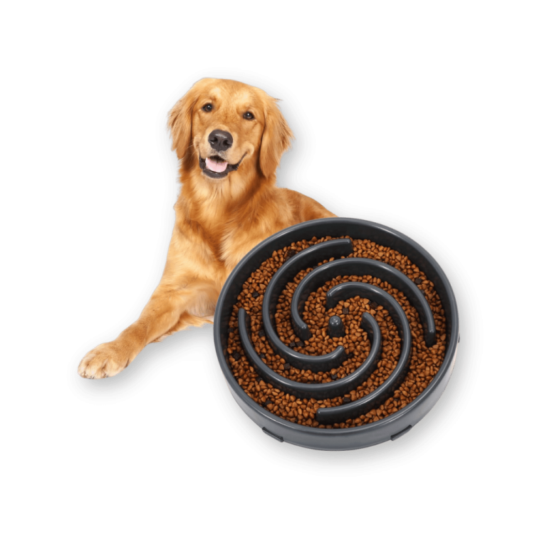 a dog laying next to a bowl of food