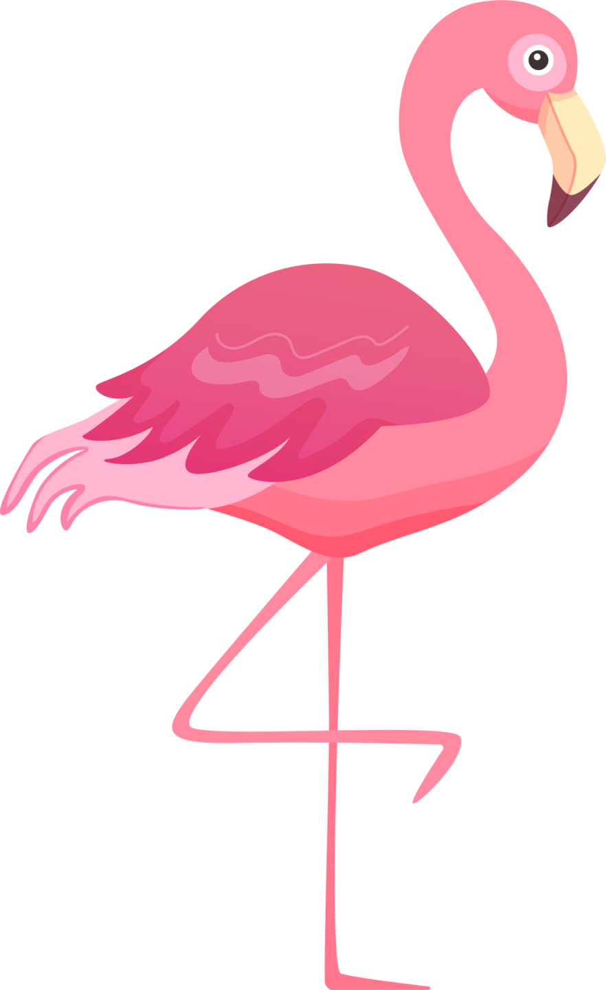 a pink flaming standing on its hinds