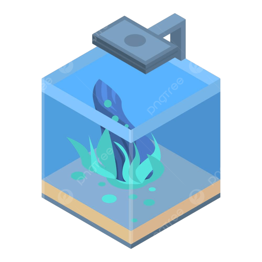 an aquarium with a fish in it