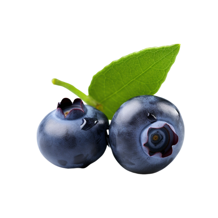 two blueberries with green leaves on a white background