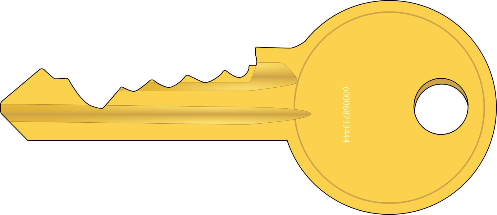 a golden key