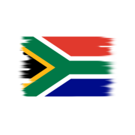 the south african flag