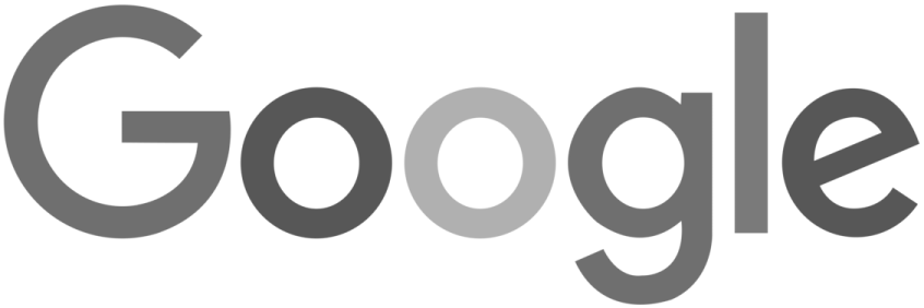 the google logo