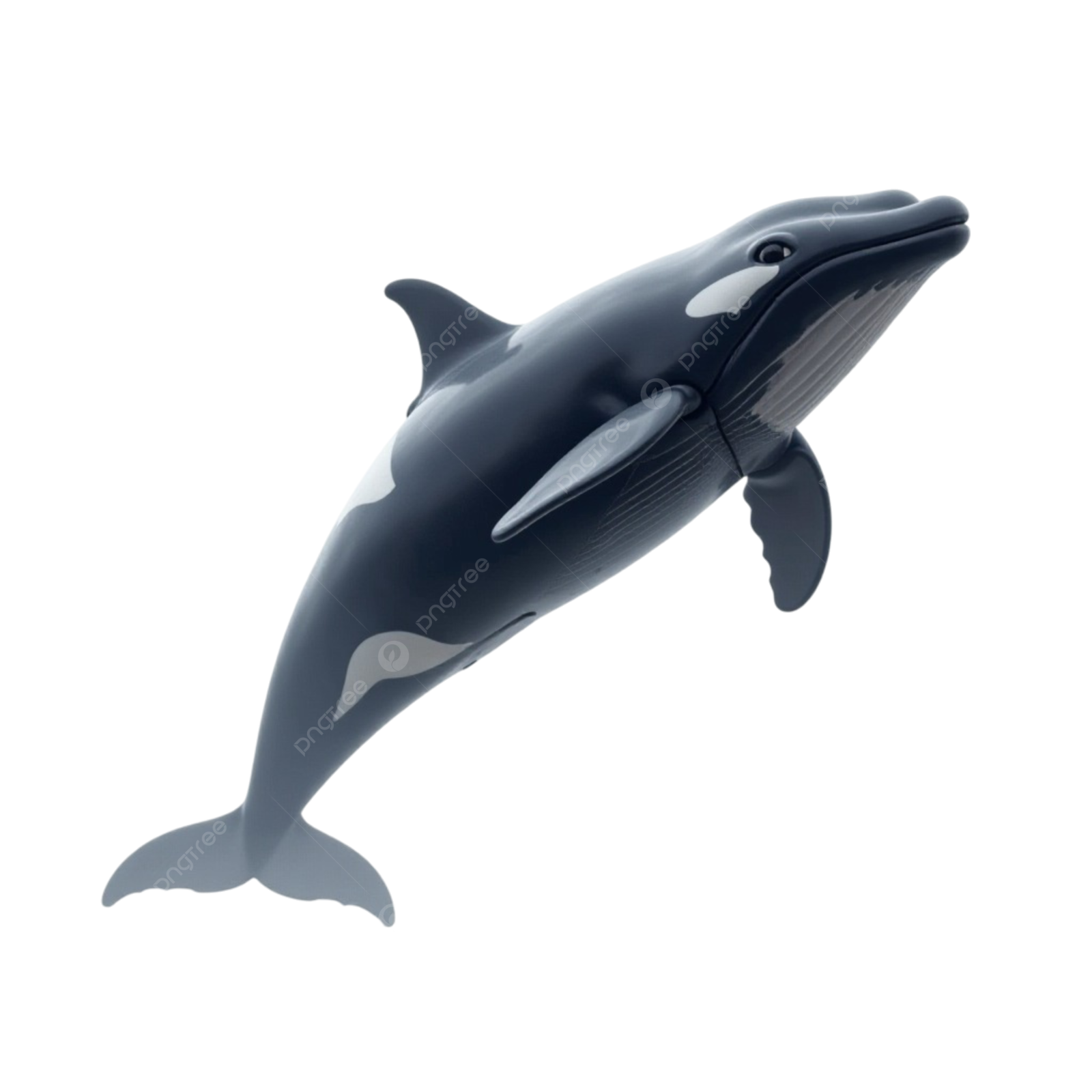 a black and white killer whale on a white background