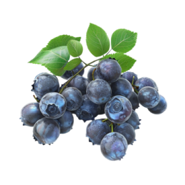 a bunch of blueberries with leaves