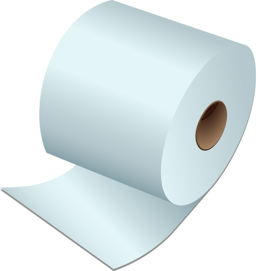 a roll of toilet paper