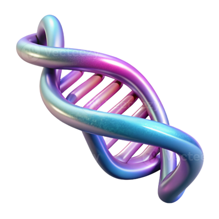 a 3d model of a dna molecule