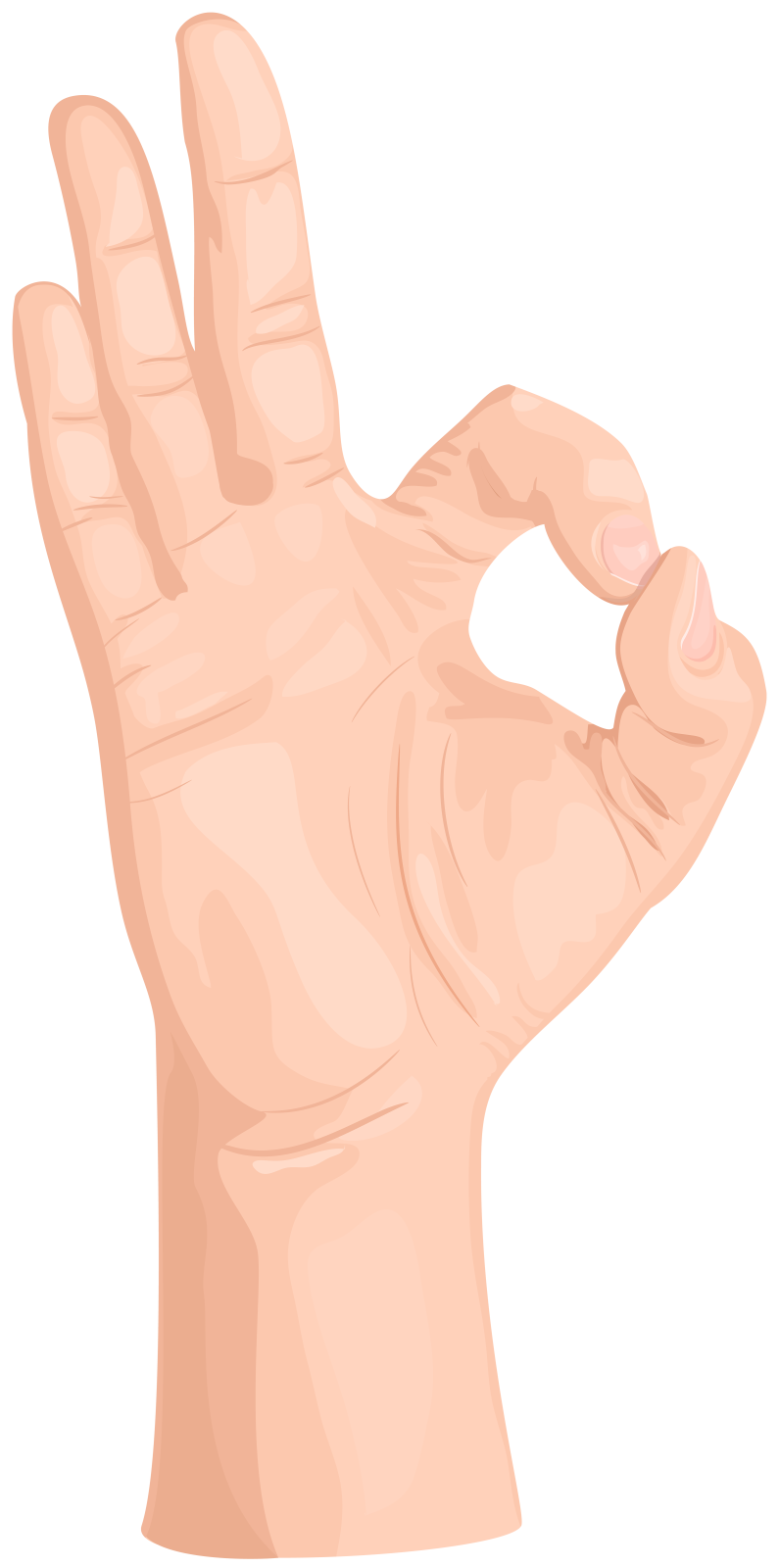 a person's hand showing the middle finger