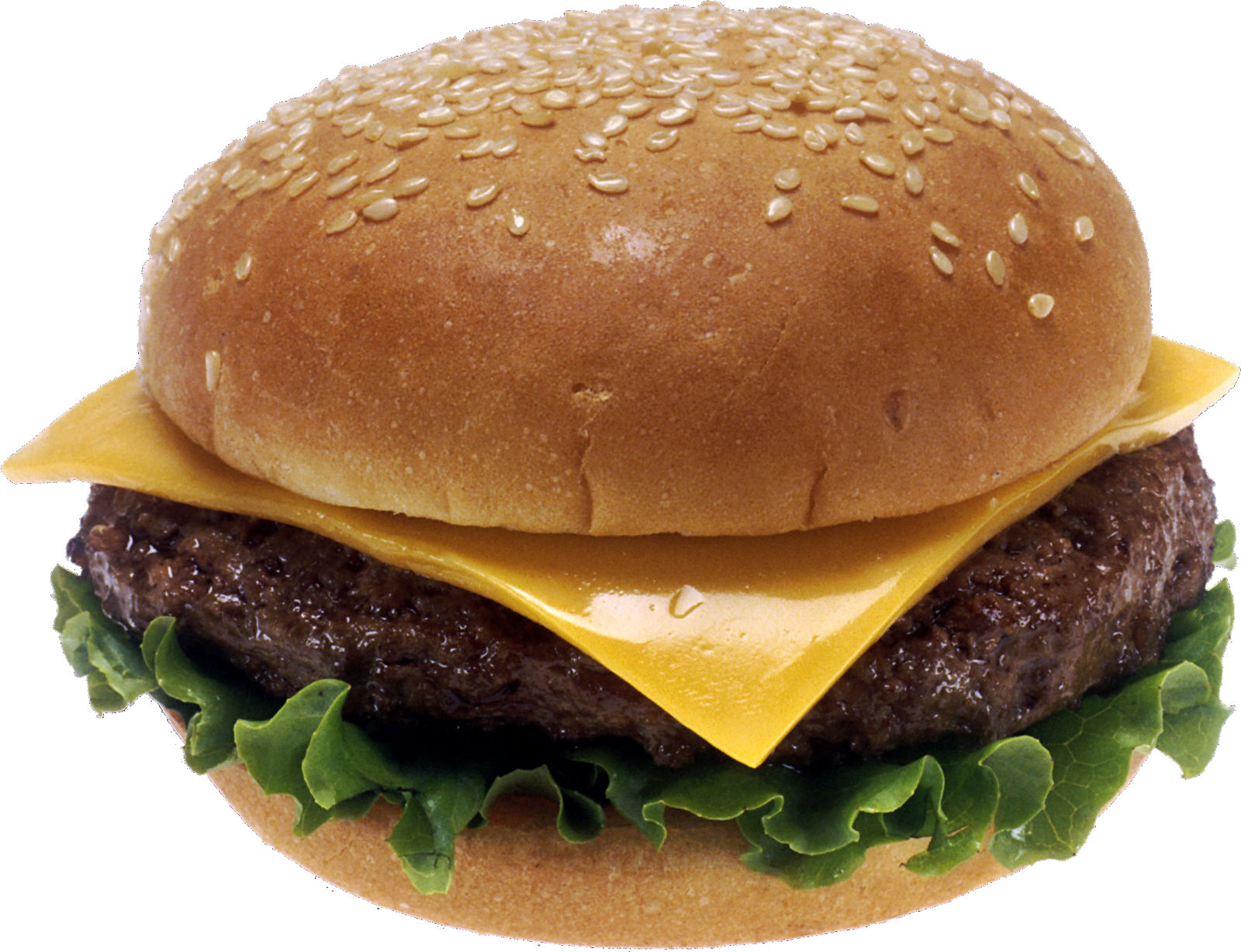 a hamburger with cheese on it
