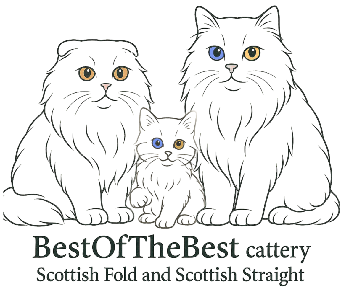 best catteryy logo