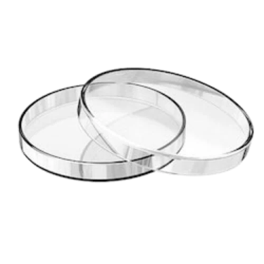 a pair of clear glass plates