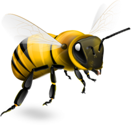a bee on a white background