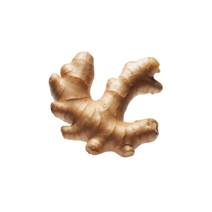 a piece of ginger on a white background