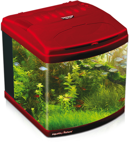 a red fish tank filled with water and plants