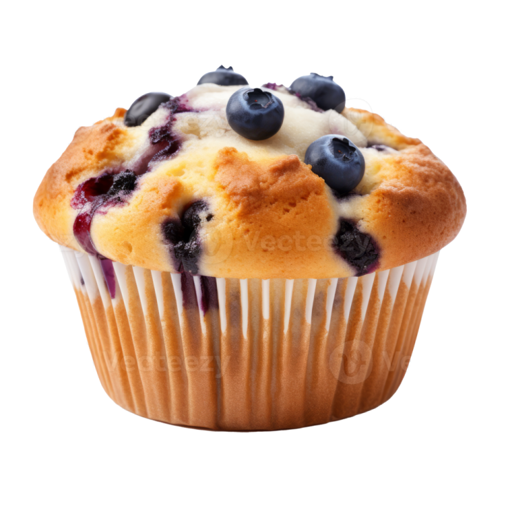 a muffin with blueberries on top