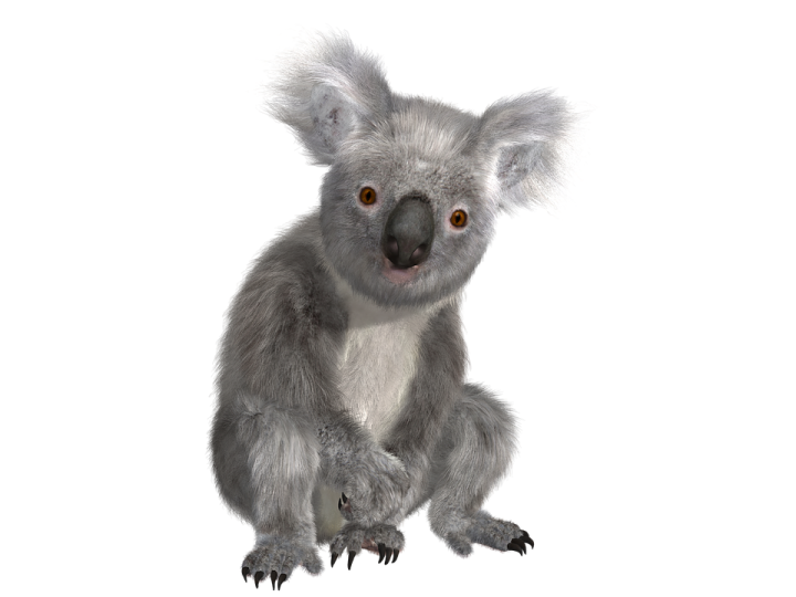 3d rendering of a kolosh