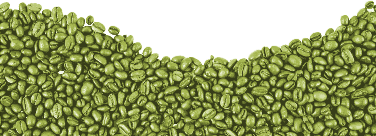 a pile of green coffee beans