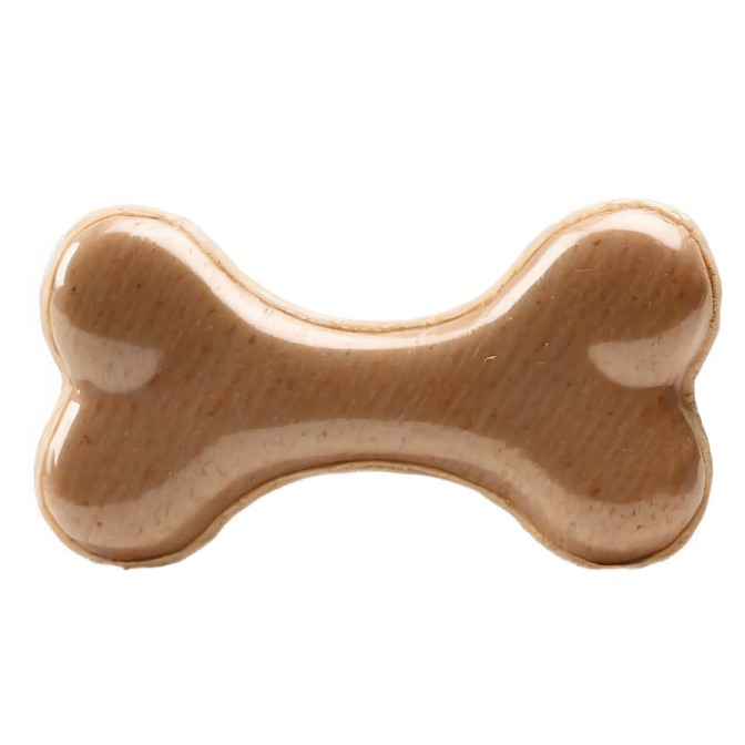 An image of a bone