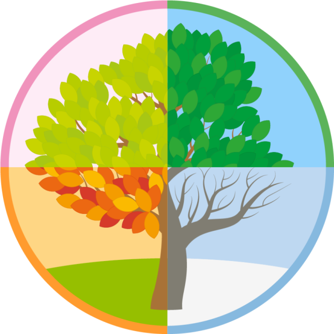a tree in the center of a circle
