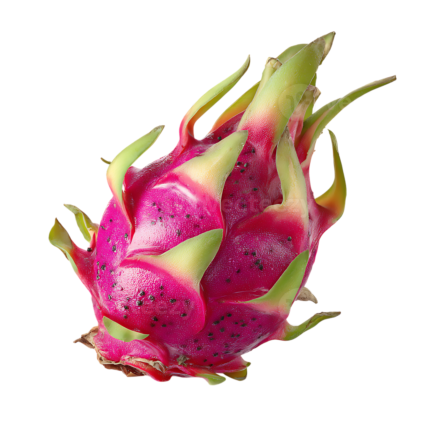 dragon fruit on a white background