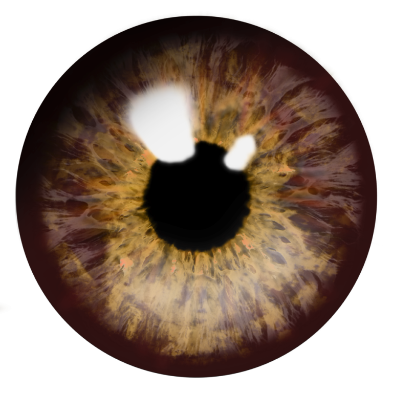 a close up view of a human eye