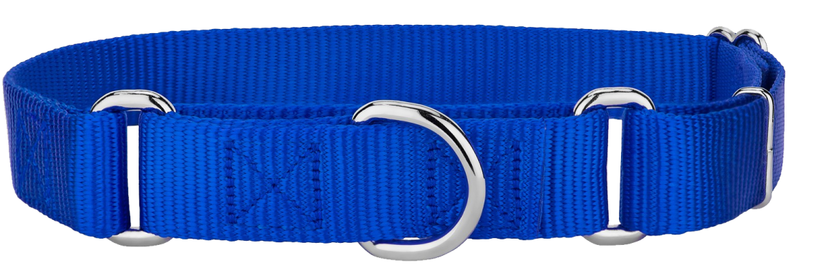 an image of a blue nylon watch strap