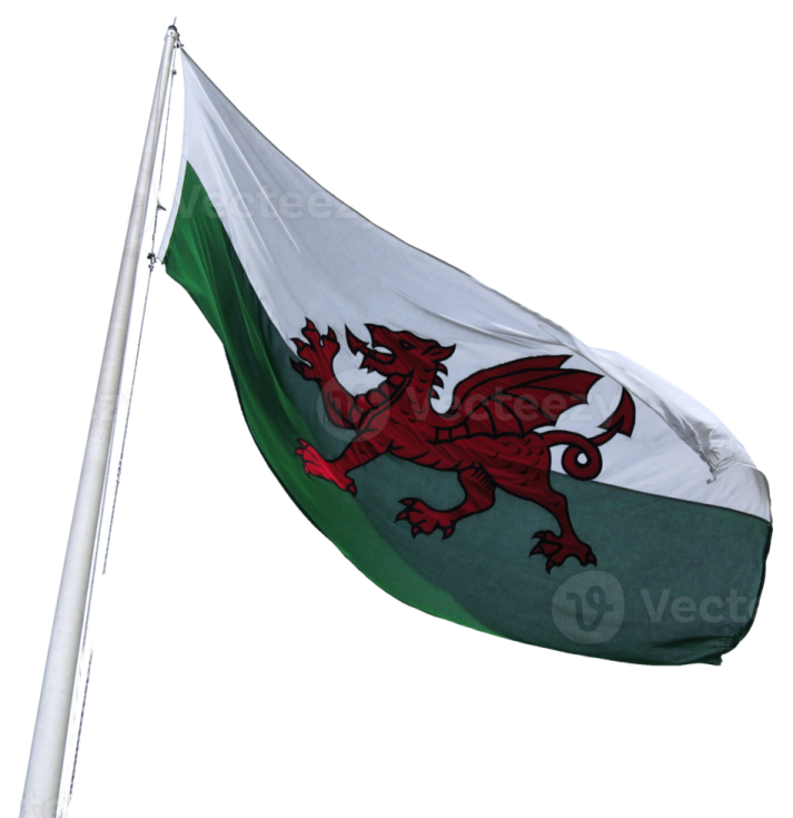 a welsh flag flying in the wind