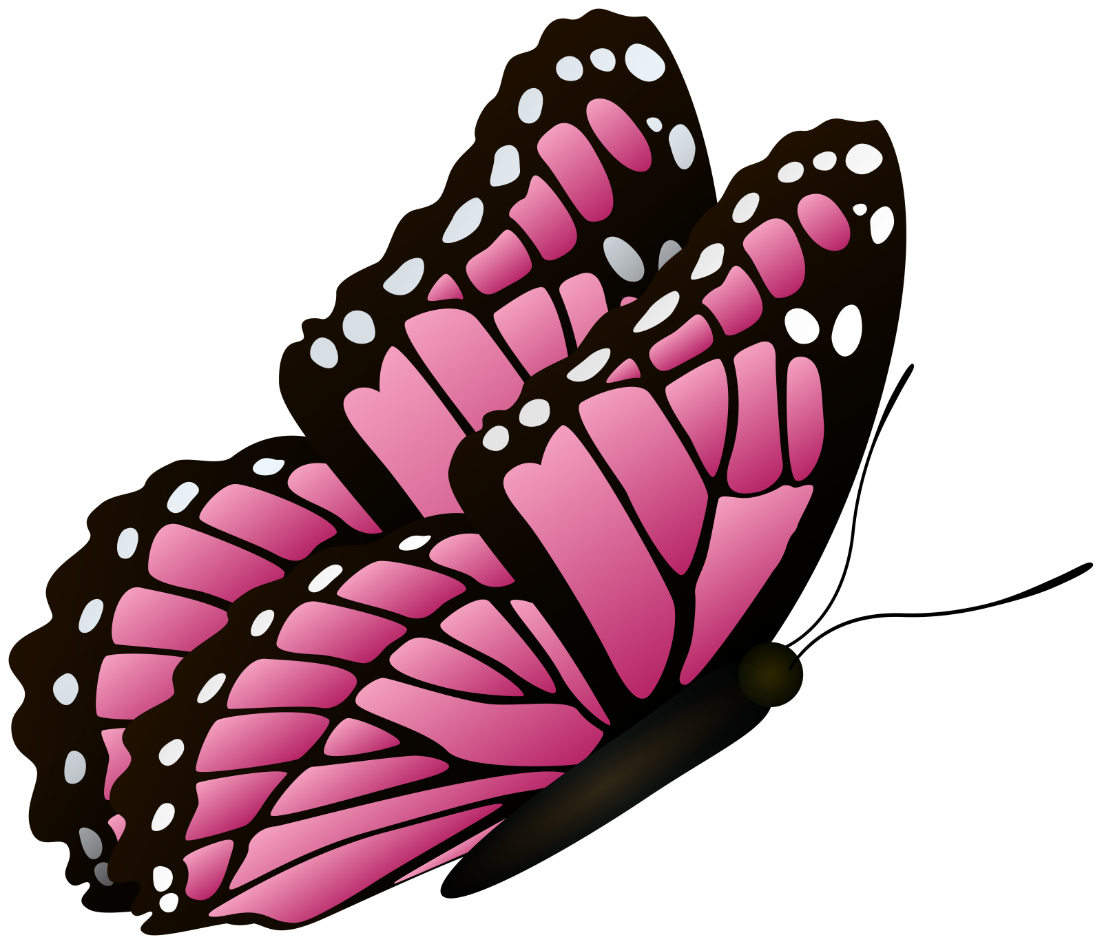 a pink butterfly on a white background