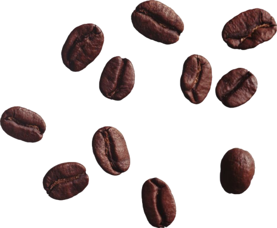 coffee beans on a white background