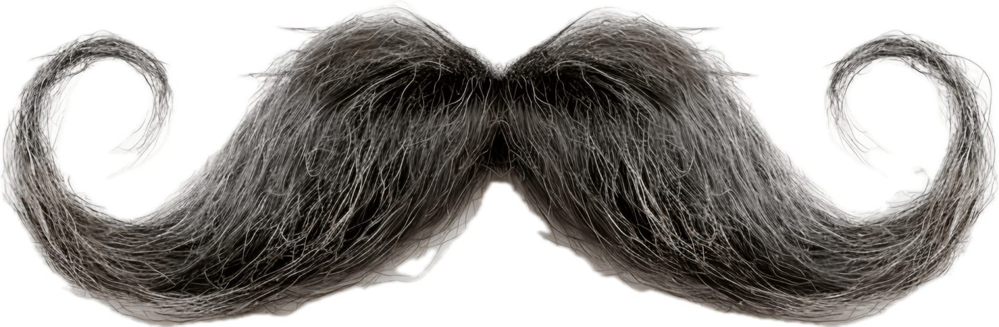 a black and white mustache on a white background