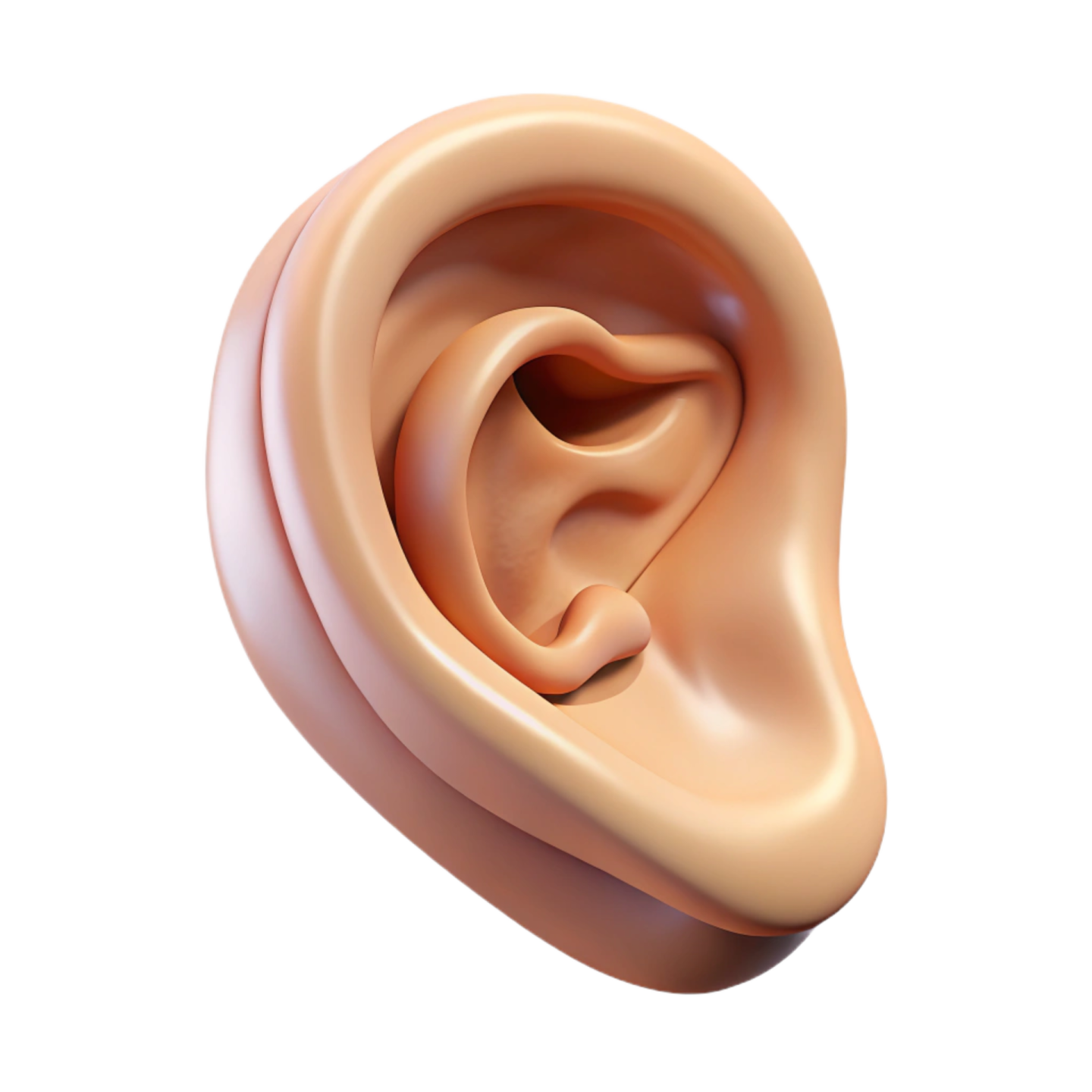 an ear is shown in the shape of a human