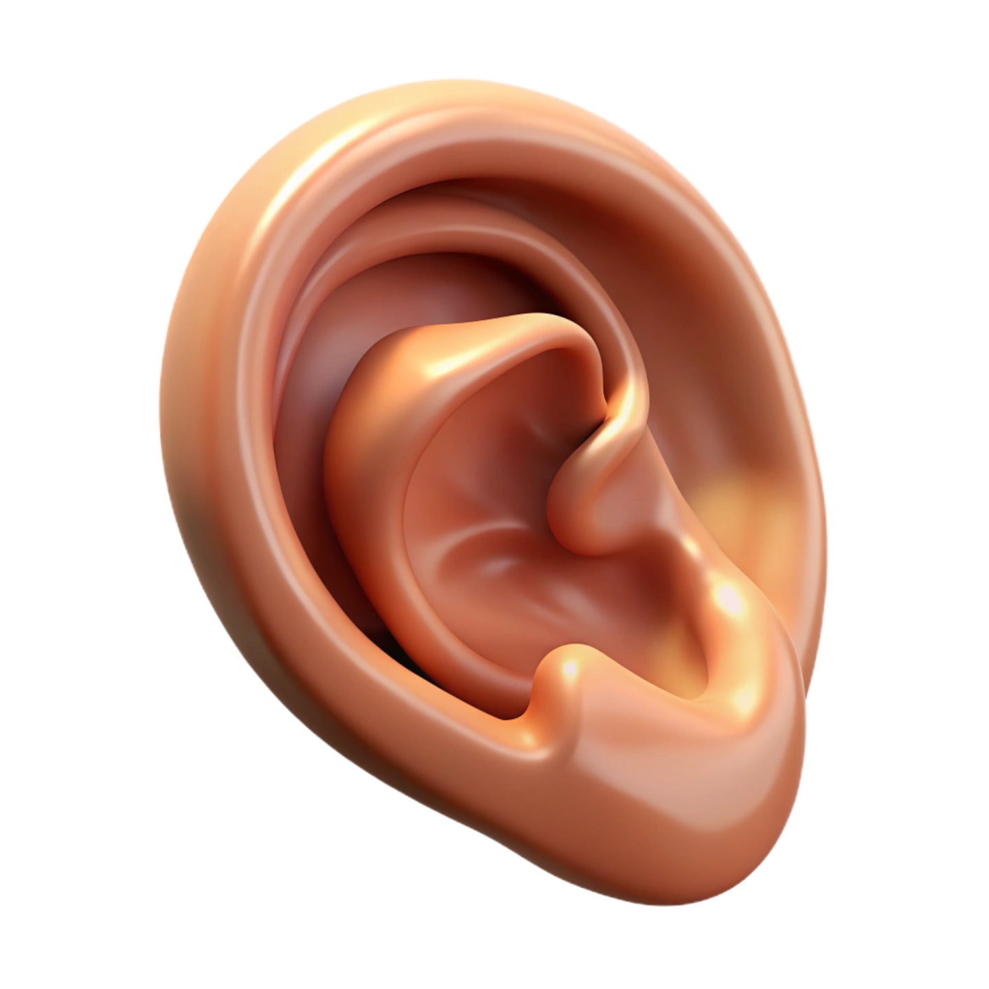 a close up of the inside of an ear