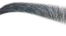 a close up of an eyelash on a white background