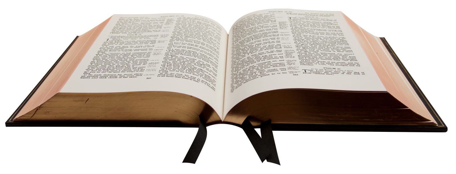 an open bible on a white background