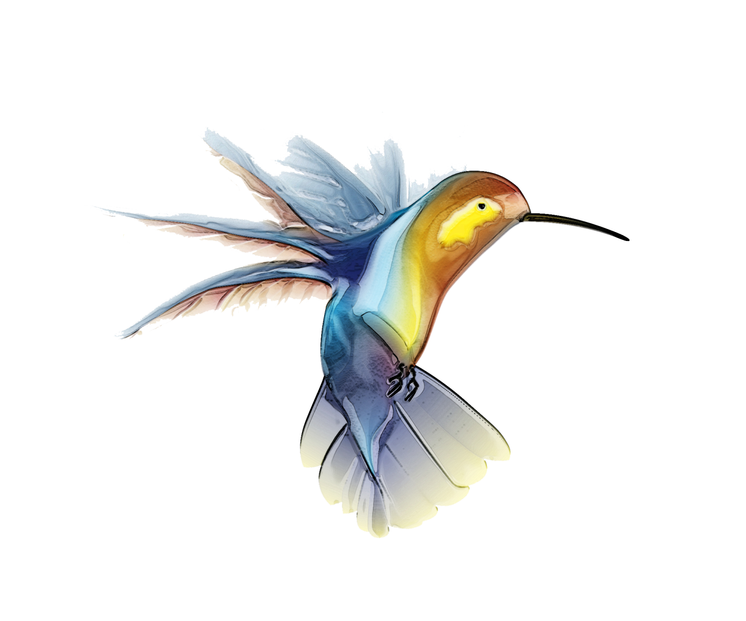 a watercolor painting of a humming bird