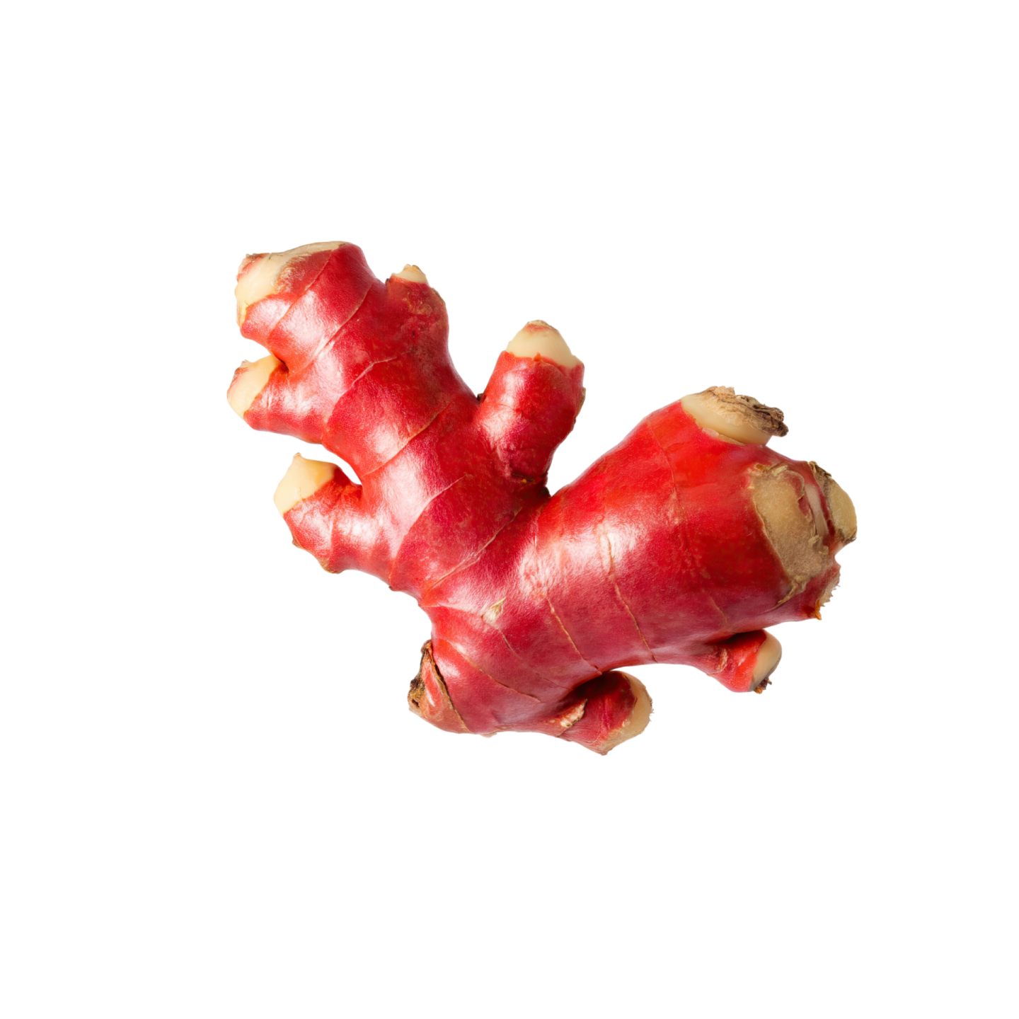 a close up of two red gingers on white background